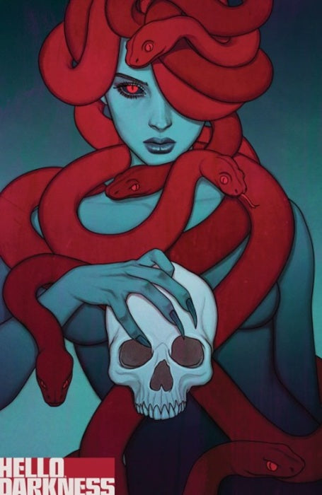 HELLO DARKNESS 22 COVER B JENNY FRISON