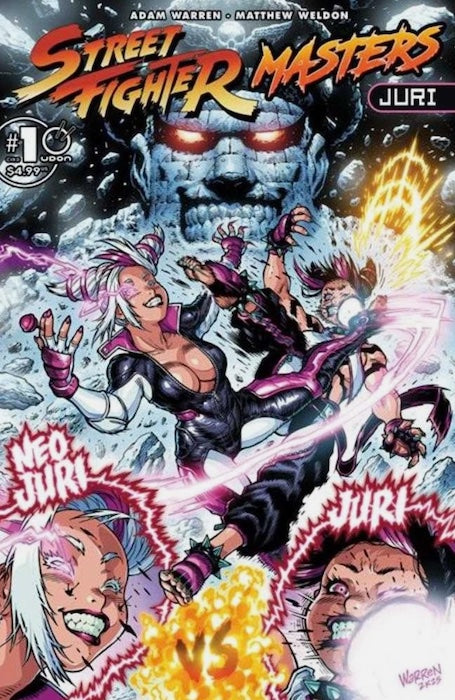 STREET FIGHTER MASTERS JURI #1 1:5 RATIO VARIANT COVER D ADAM WARREN